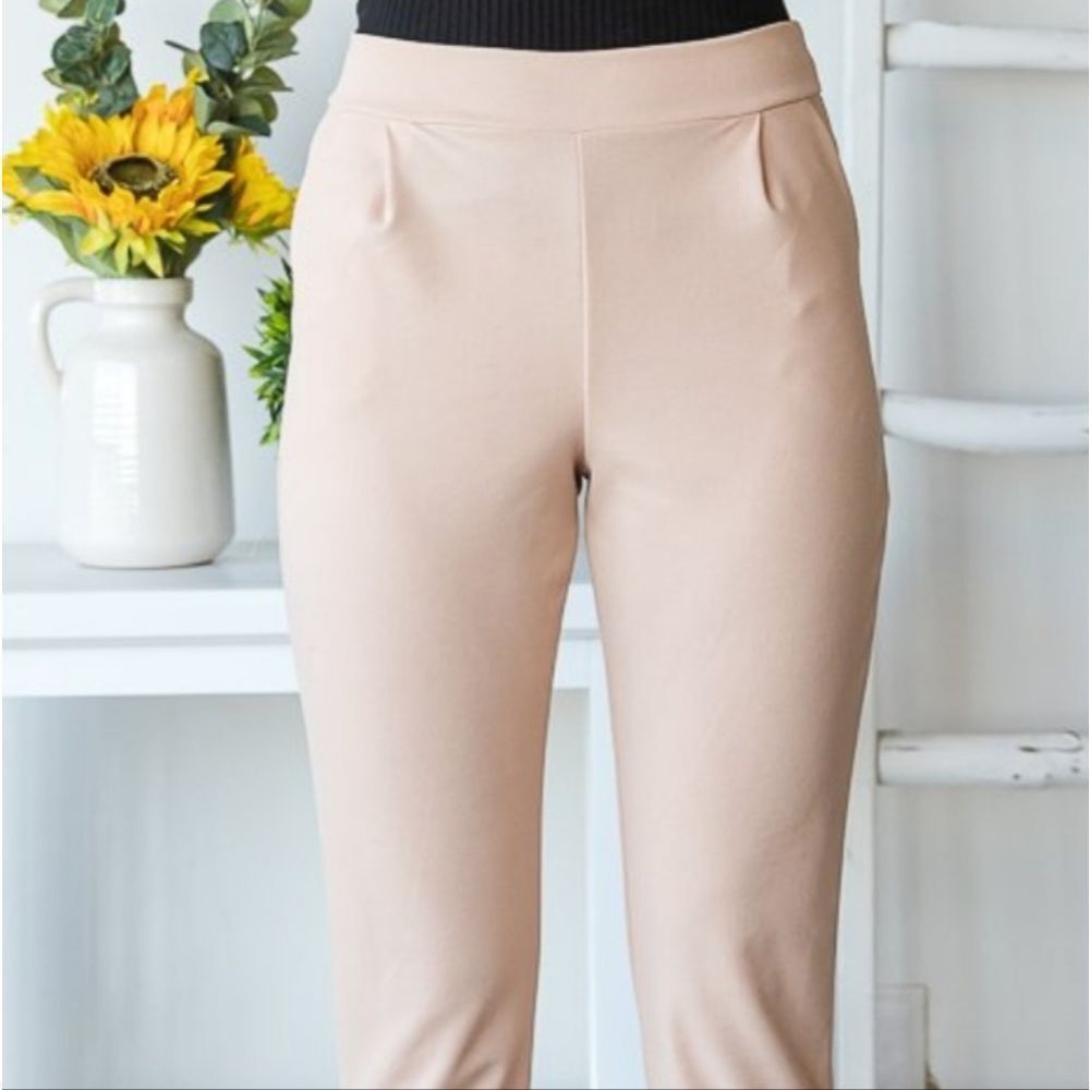 New Taupe Dress Pants Plus Size